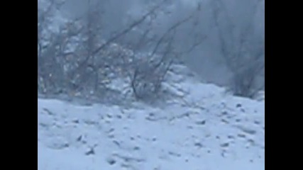 заешки лов