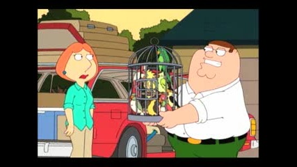 Family Guy - Tropical Birds 