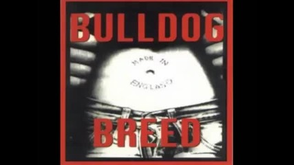 Bulldog Breed - Unity is Victory