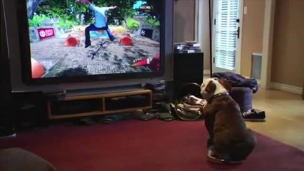 Куче играе видео игра 