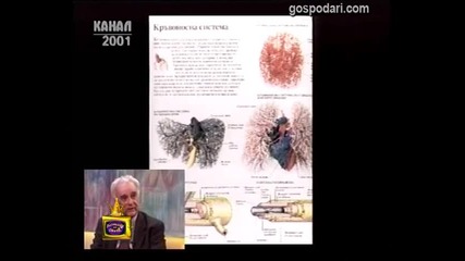 Канал 2001