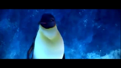 Pinguin Dance / Танцът на Пингвините [ Original]