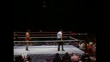 Wrestlemania 1 - David Sammartino vs. Brutus Beefcake 
