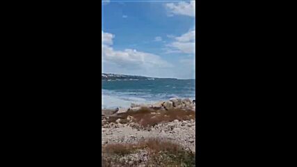 video-1631119952