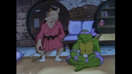 26 - The Fifth Turtle