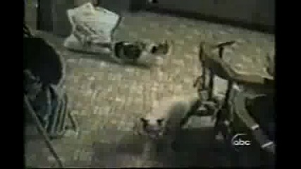 Дай Да Уплашим Някого