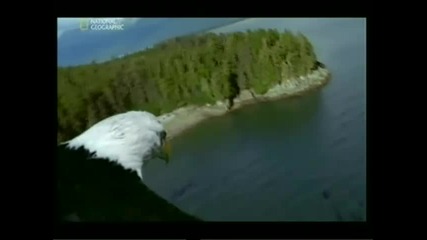 Райски места - Ледниковият залив Част 1