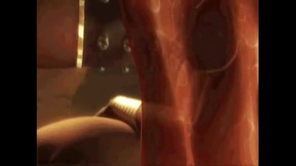 Prince Of Persia And Farah Music Video