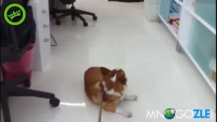 Не искам да си ходя вкъщи