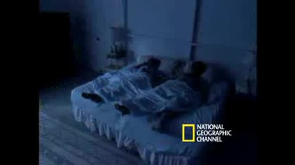 National Geographic - Bed Bugs