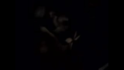 Bau - Bau