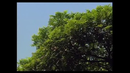 Природата на Китай