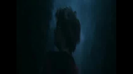 Harry Potter Oh You Touch My Tralala