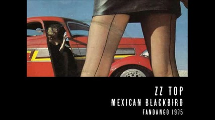 Mexican Blackbird · Zz Top · Fandango 1975