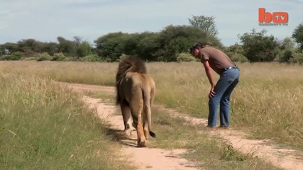 Да отгледаш лъв - приятелство между човек и звяр