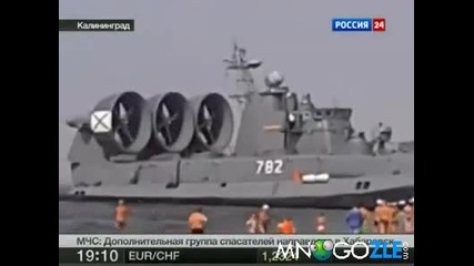 Руски зубър на плажа