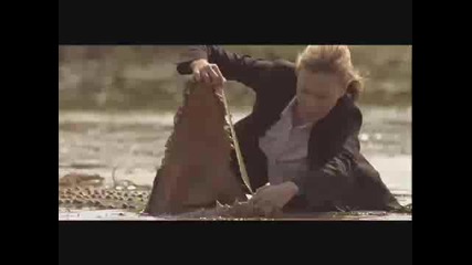 Crocodile - Canal Sat 