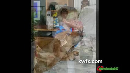 Смешни Кучешки Картинки