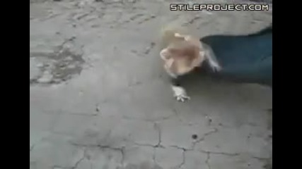 Страшен Звяр