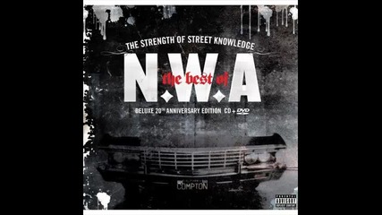 N.w.a ft. Snoop Dogg - Chin Check 