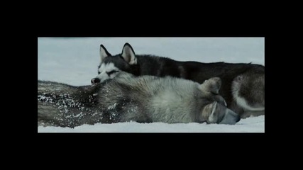Wolf Hoffmann - The Moldau