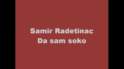 Samir Radetinac - Da sam soko