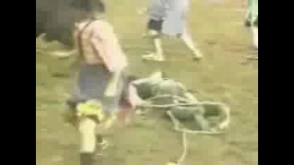 Bull Tramples Rodeo Cowboy 