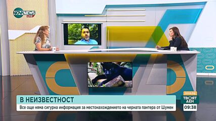 Къде е голямата черна котка