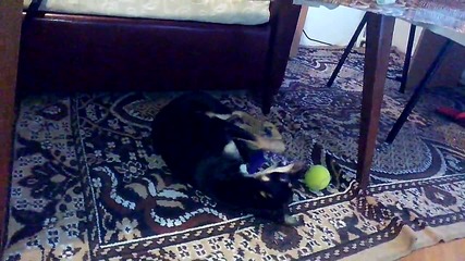 Vid_20150121_163503