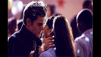 Wild (stelena)