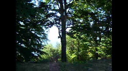 Кръстова гора 12