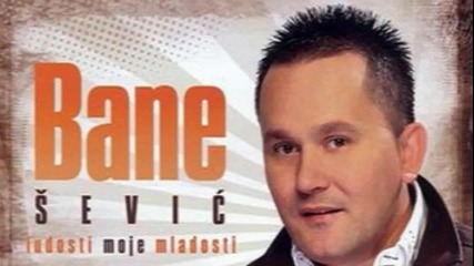 Bane Sevic - Samo Treba Vremena [2012]