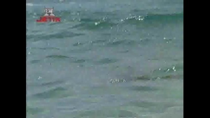 H2o just add water s01 ep06 [bg] part1 Hq