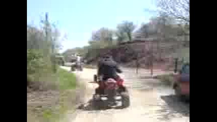 Mov01217.3gp