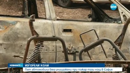Новините на NOVA (27.02.2017 - централна)