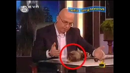 Предложенията За Господар На Седмицата 16 - 20 Юни 2008 - Господари На Ефира