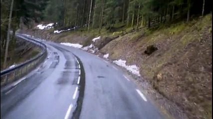 Imag0006