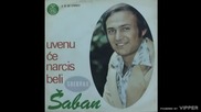 Saban Saulic - Uvenuce narcis beli - (Audio 1976)