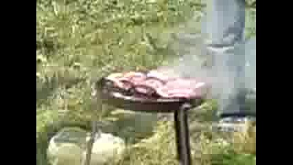 Mov00042.3gp