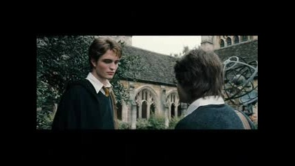 Slipped Away For Cedric Diggory