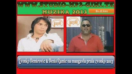 Zvonko Demirovic & Denis Ramic .na mangavla prala 2013 By.dj kiro