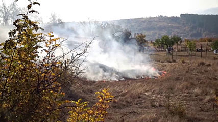 Треви и храсти горяха при пожар край Благоевград