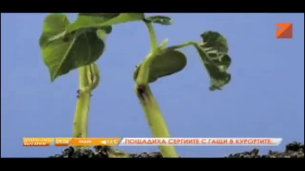 Какво не знаем за слънцето