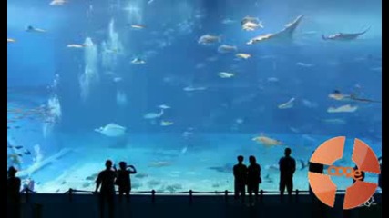 Един от най - големите аквариуми в света! 