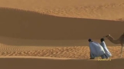 Karunesh Solitude 