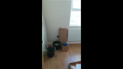 Vid_20220715_081723.mp4