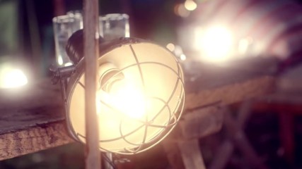 Beast - Butterfly