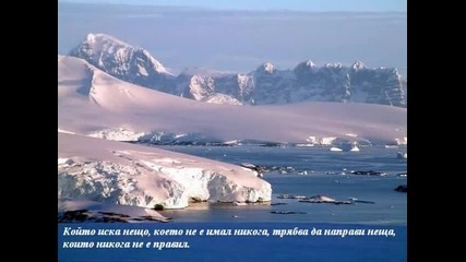 krasota