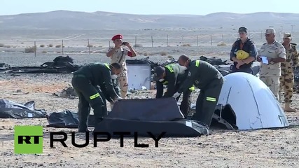 Egypt: Bodies retrieved from Sinai crash sight of Russian flight 7K9268