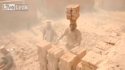 здрави тикви